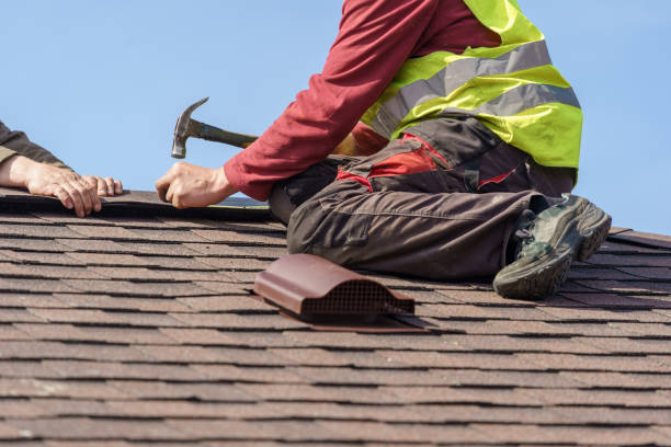 Best Roof Maintenance Services  in Isle Of Hope, GA