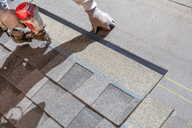 Best Flat Roof Repair Services  in Isle Of Hope, GA